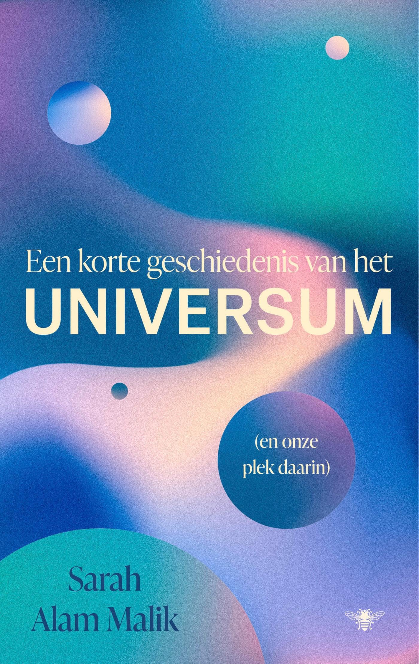 Een korte geschiedenis van het universum: (en onze plaats daarin)