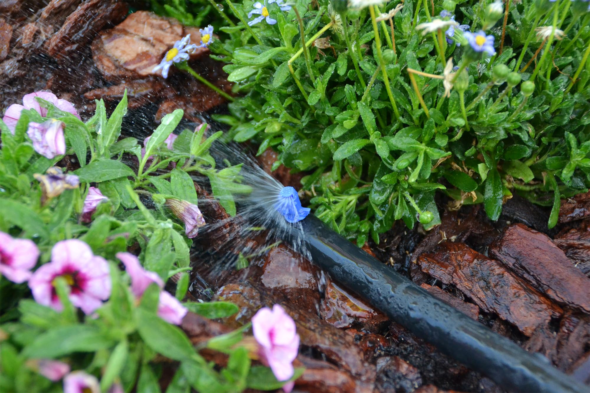 Jardibric - Tuyau Goutte à Goutte 13x16 mm Non Percé 50 m - Tube PE Irrigation Jardin pour Arrosage Goutte à Goutte
