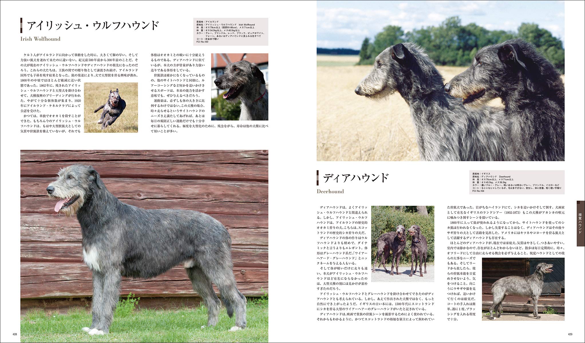 増補改訂 最新 世界の犬種大図鑑 原産国に受け継がれた犬種の姿形 430種 藤田 りか子 本 通販 Amazon