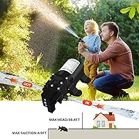 Vista 5 de Bomba de agua DC 12V, bomba de diafragma de 1GPM 4L/Min Interruptor de presión integrado con 2 abrazaderas de manguera para bombear agua