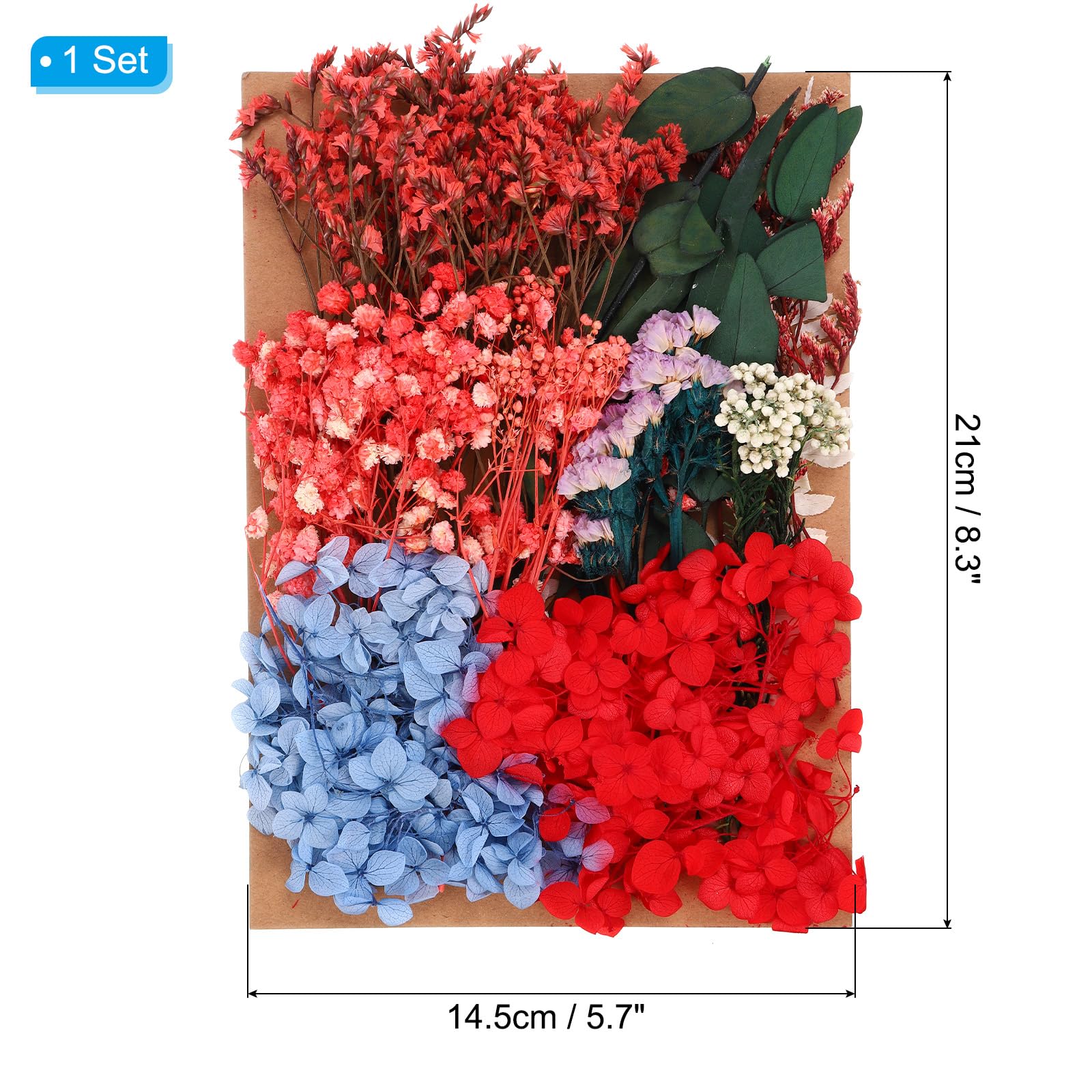 PATIKIL Multicolor Dried Flowers for Craft Bulk Pressed Flowers Leaves for Resin Soap Candle Scrapbooking DIY Gift Papermaking - Image 2