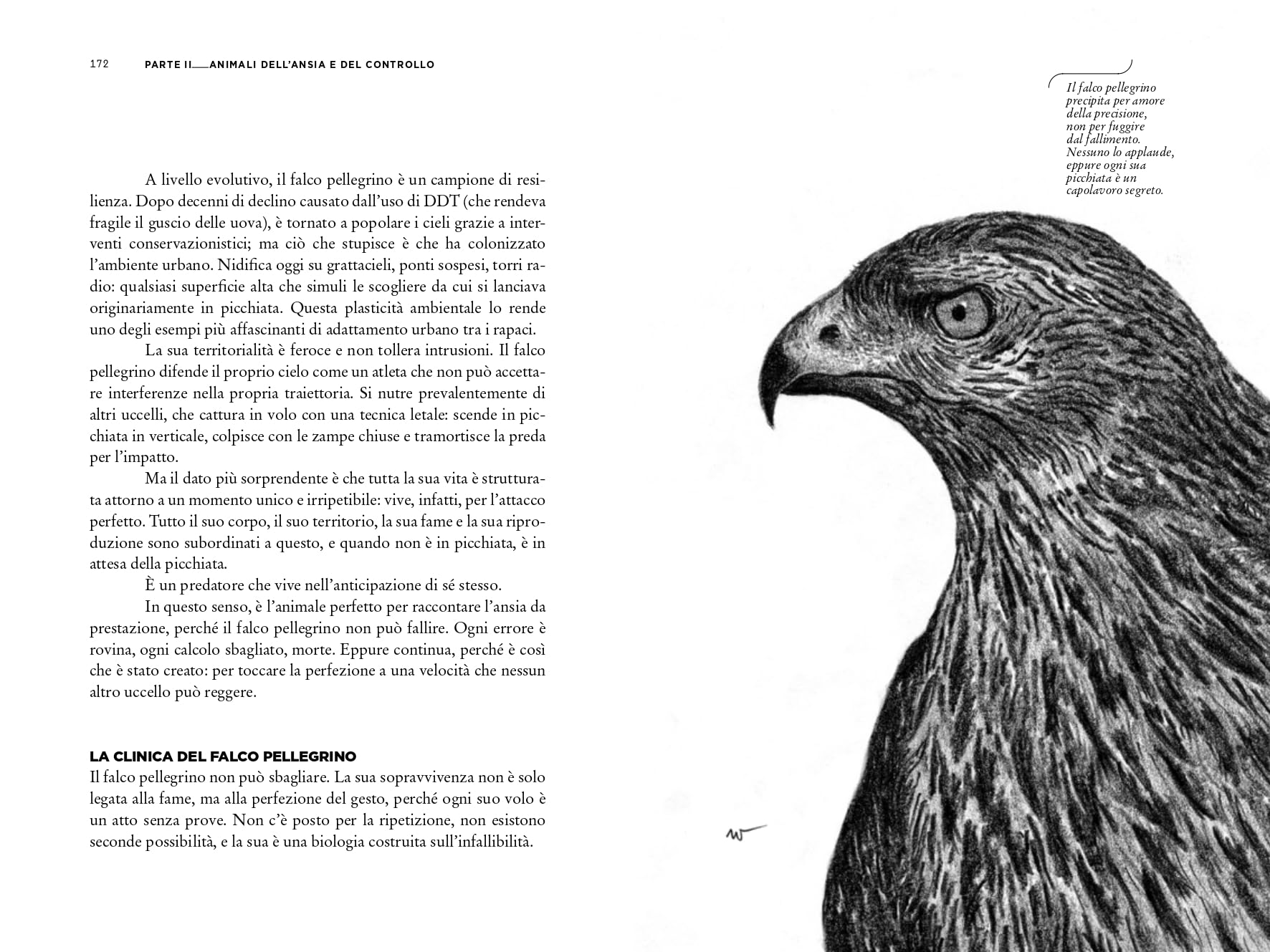Bestiario dell'anima. Riconosci i tuoi animali interiori e ritrova te stesso