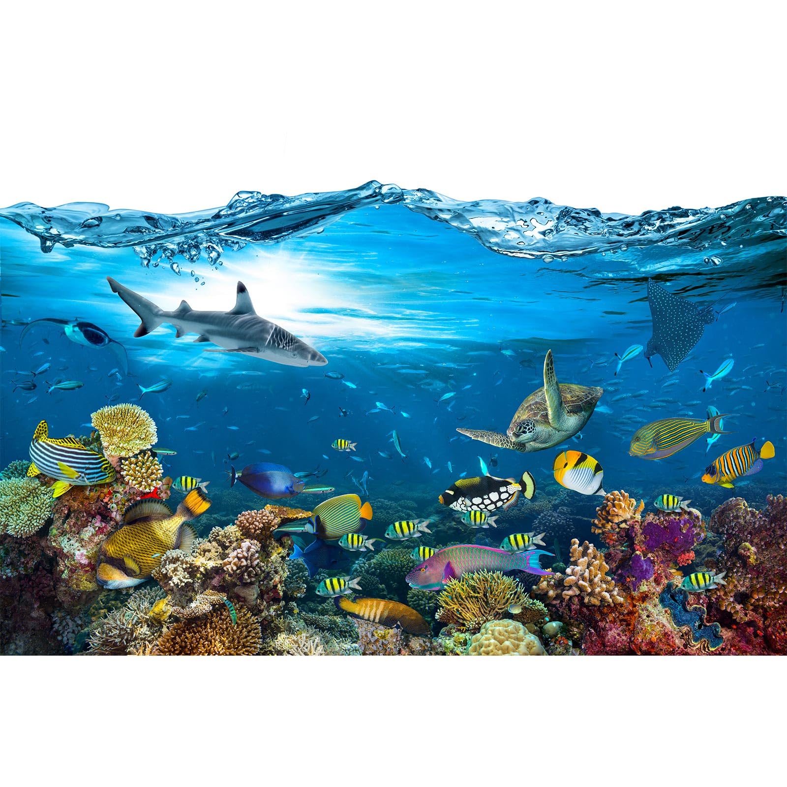 Under The Sea Aquarium Background Tropical Marine Colorful Coral Reef Panorama Terrarium Background Blue Sea with Sunbeams Fish Tank Backdrop Deep Sea Tropical Fish Groups Backdrops 30x18in