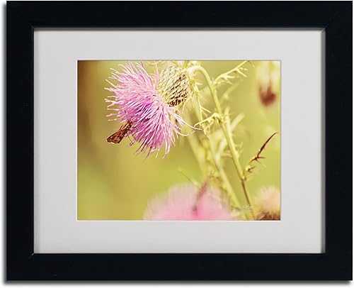 Miniatura 2 de Trademark Fine Art Skipper on Pink Thistle - Arte enmarcado enmarcada con marco negro, 11 x 14 pulgadas