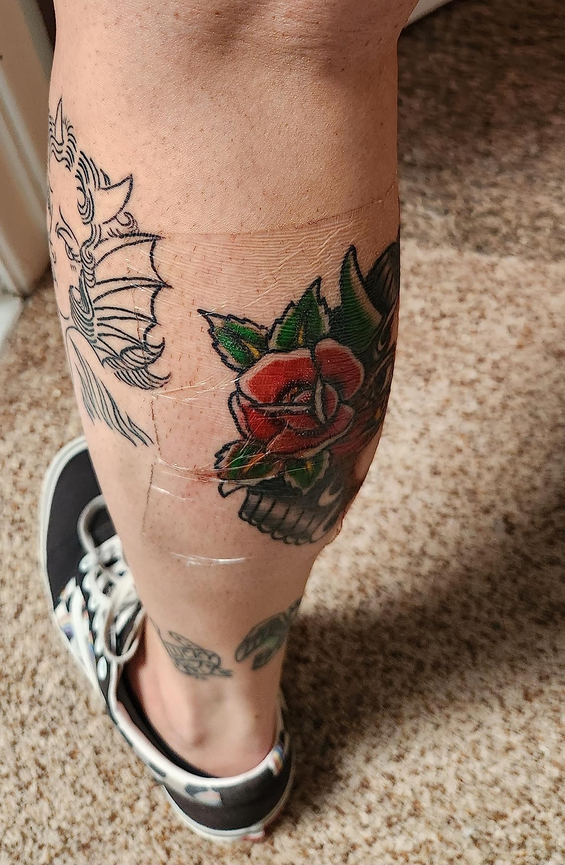 2/mo Finance Tattoo Aftercare Bandage, 6"x 10 Yard, Tattoo