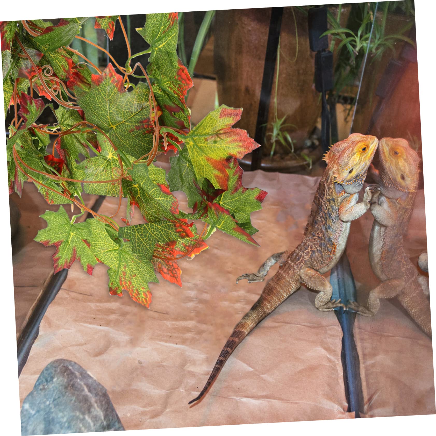 Angoily 5piezas Decoración De Terrario Plantas Imitadas para Reptiles De Simulación Natural Fácil Instalación Ventosa Decoración para Acuarios y Terrarios