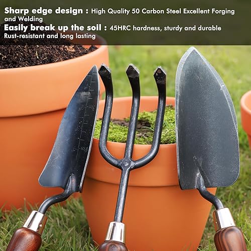 Miniatura 5 de RESTMO Kit de herramientas de jardinería resistentes, paquete de 3 herramientas de jardín con mango de madera, incluye pala, pala de trasplante,