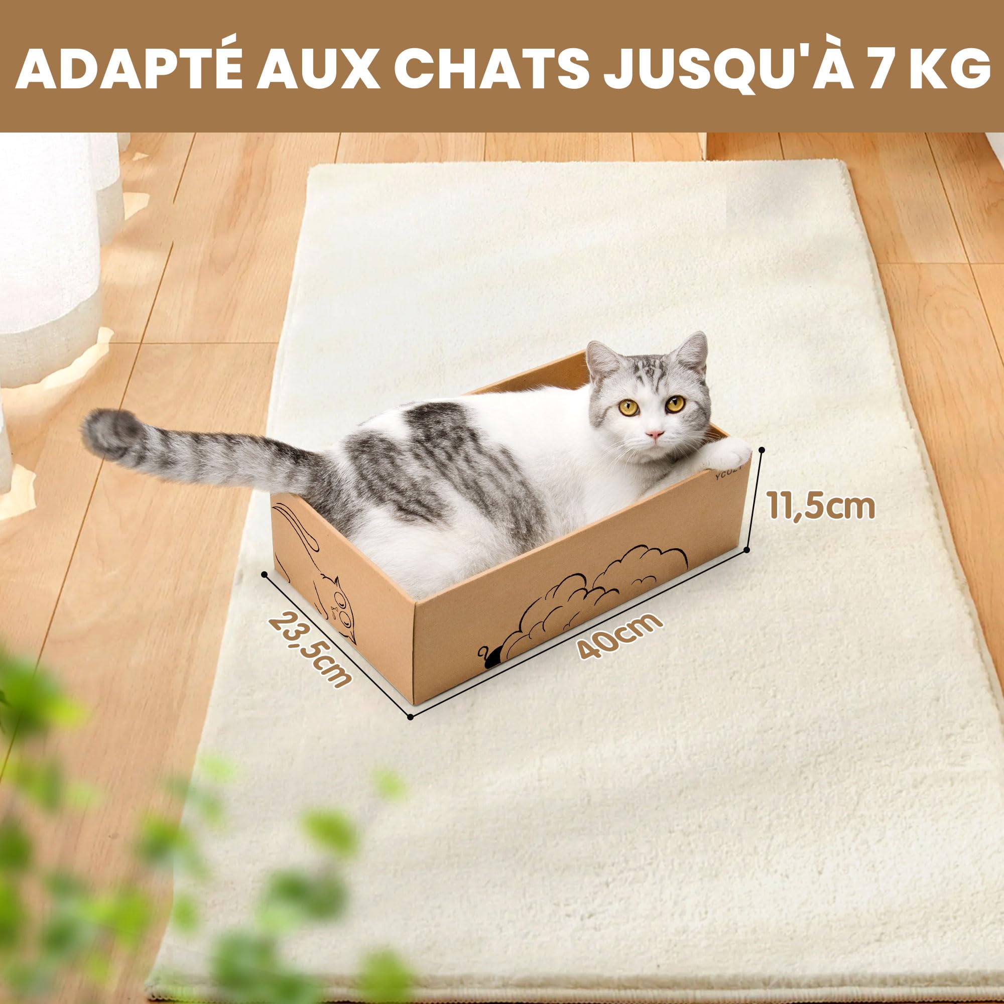 Ycozy Griffoir pour Chat 5 in 1 Réversible Grattoir Chats Carton Ondulé 5 PCS Carton pour Chat Interieur Planche à Gratter