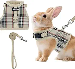 AIITLE Conjunto de arnês e coleira respirável para coelho – colete acolchoado com estampa xadrez com design de fita mágica, anéis em D duplos, ajustável para animais de estimação pequenos, acampamento