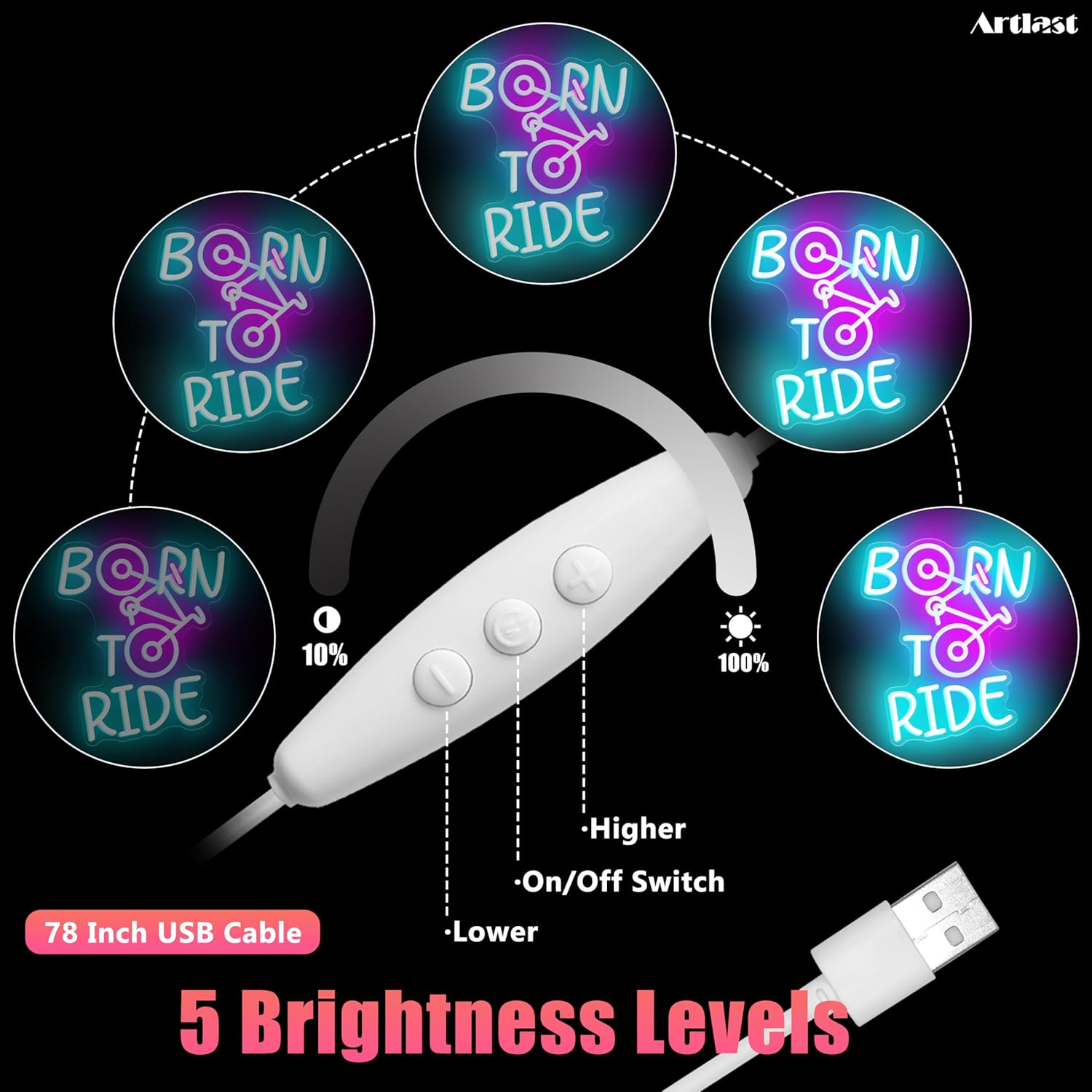 Born to Ride Neon Sign Dimmable USB Neon Sign for Wall Pink & Blue Bicycle LED Light for Dorm Bar Club Game Room Unique Gift for Cyclists