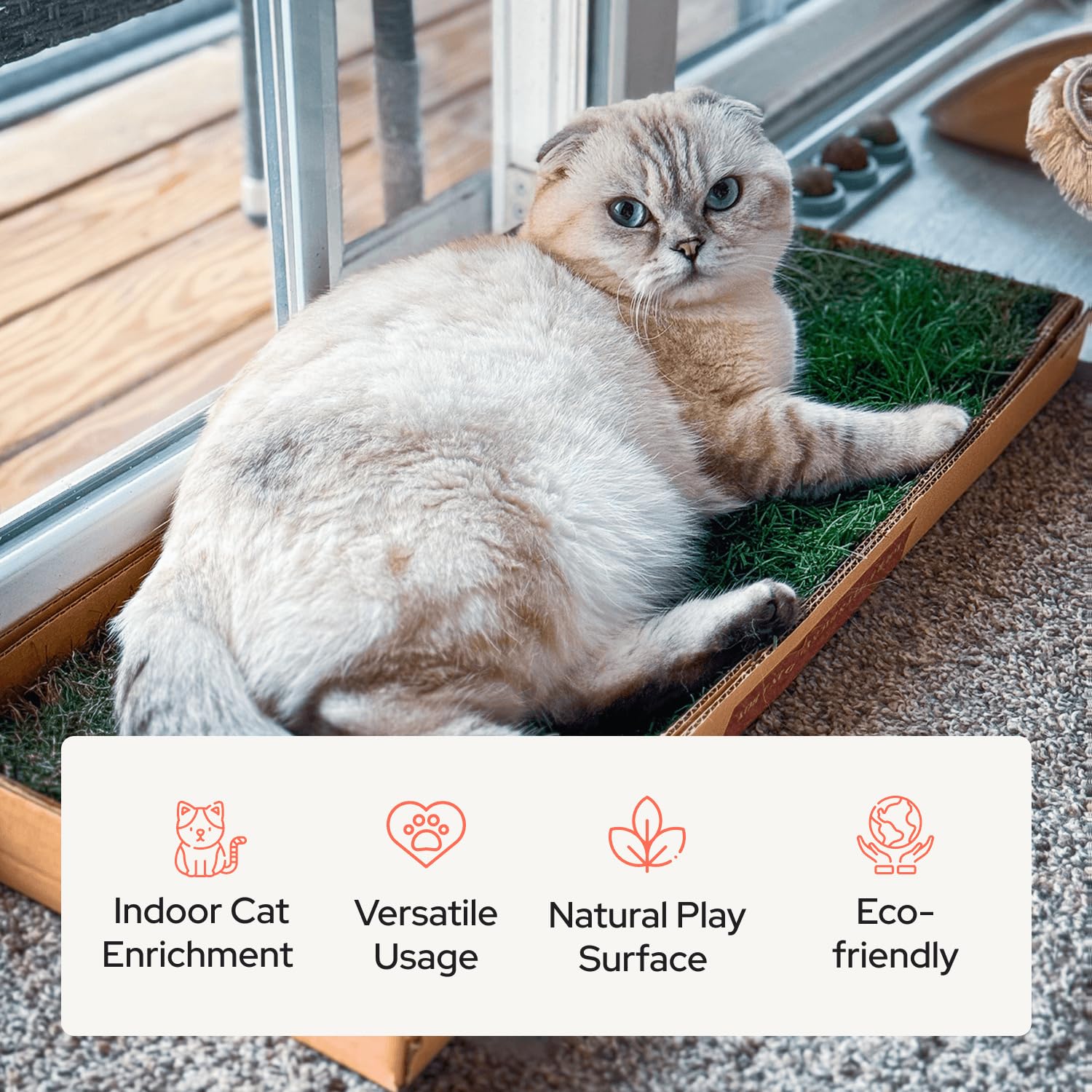 Kitty Lawn - Percha y tumbona para ventana de gato de césped real, cama de césped fresco para gatos grandes y pequeños, asiento de ventana para tomar el sol y observar aves, cultivado en Estados