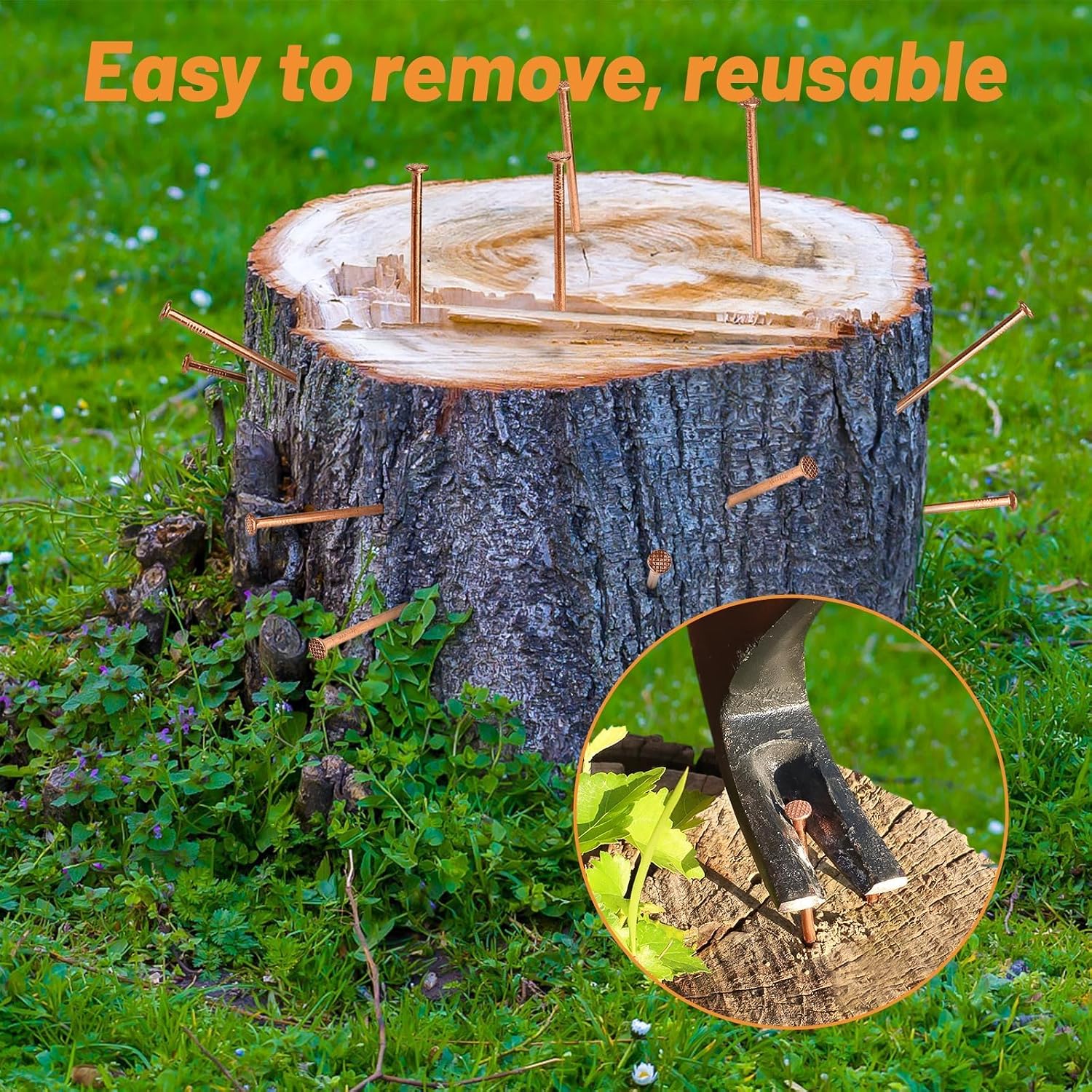 Pack 10 Copper Nails for Killing Trees Stump Root, 3.15" Copper Nails with Drill, Stump Removal Spikes Hardware Nails for Trees