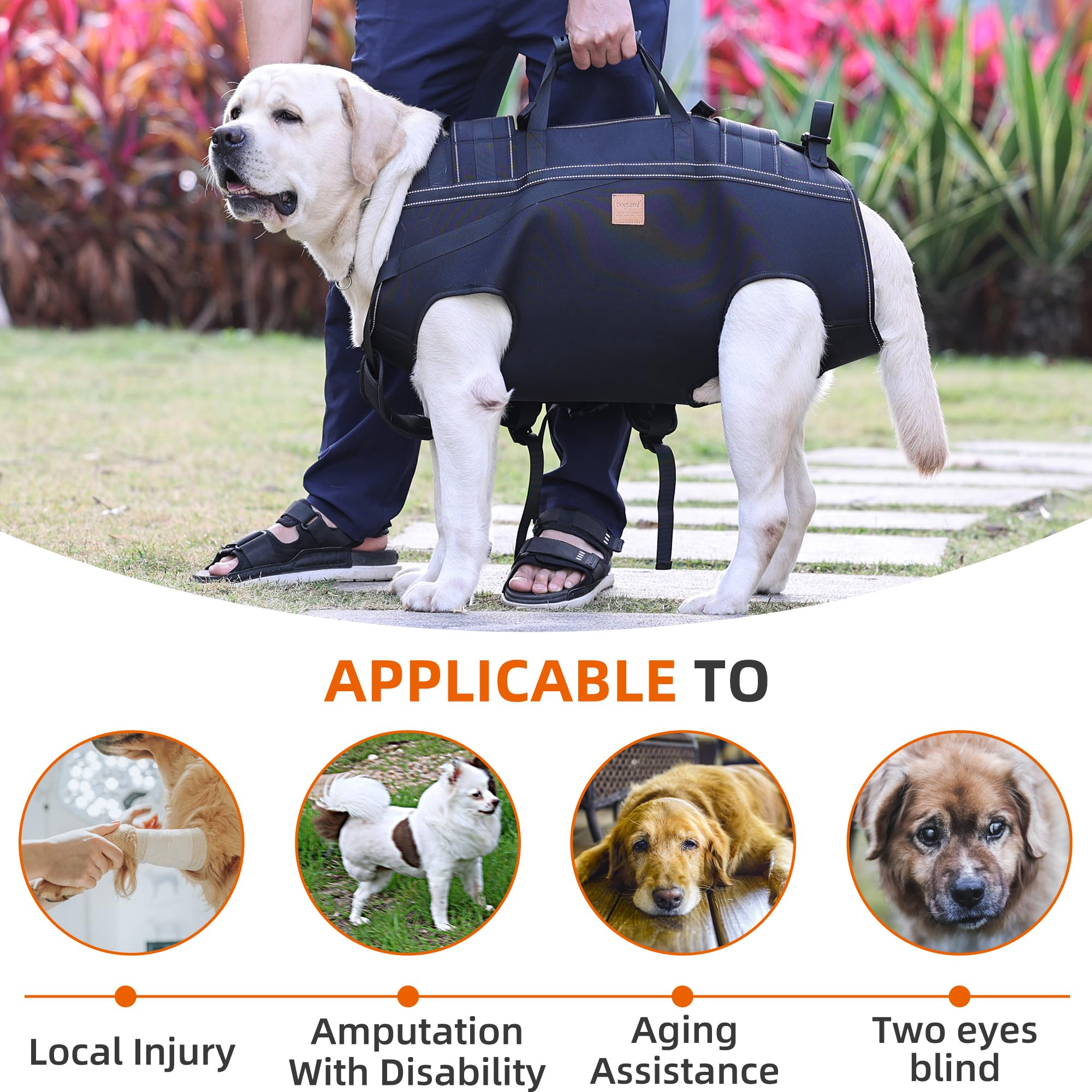 Mochila grande de transporte para perros, mochila para patas de mascotas, arnés de elevación para perros mayores, lesiones articulares, artritis, escaleras arriba y abajo, paseo de perros de