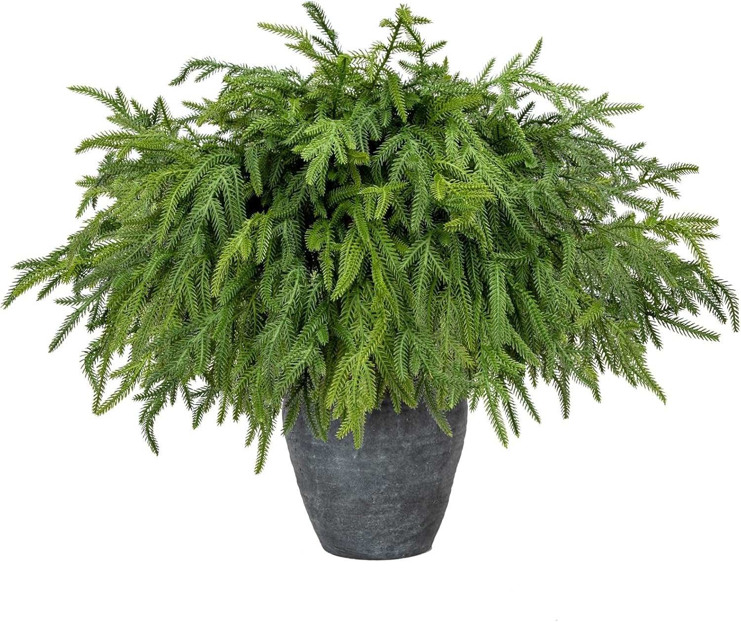 Briful 20PCS Christmas Norfolk Pine Branches - Real Touch Stems for DIY Crafts, Artificial Christmas Decor, Xmas Garland Wreaths Indoor Outdoor (22.5 Inches)