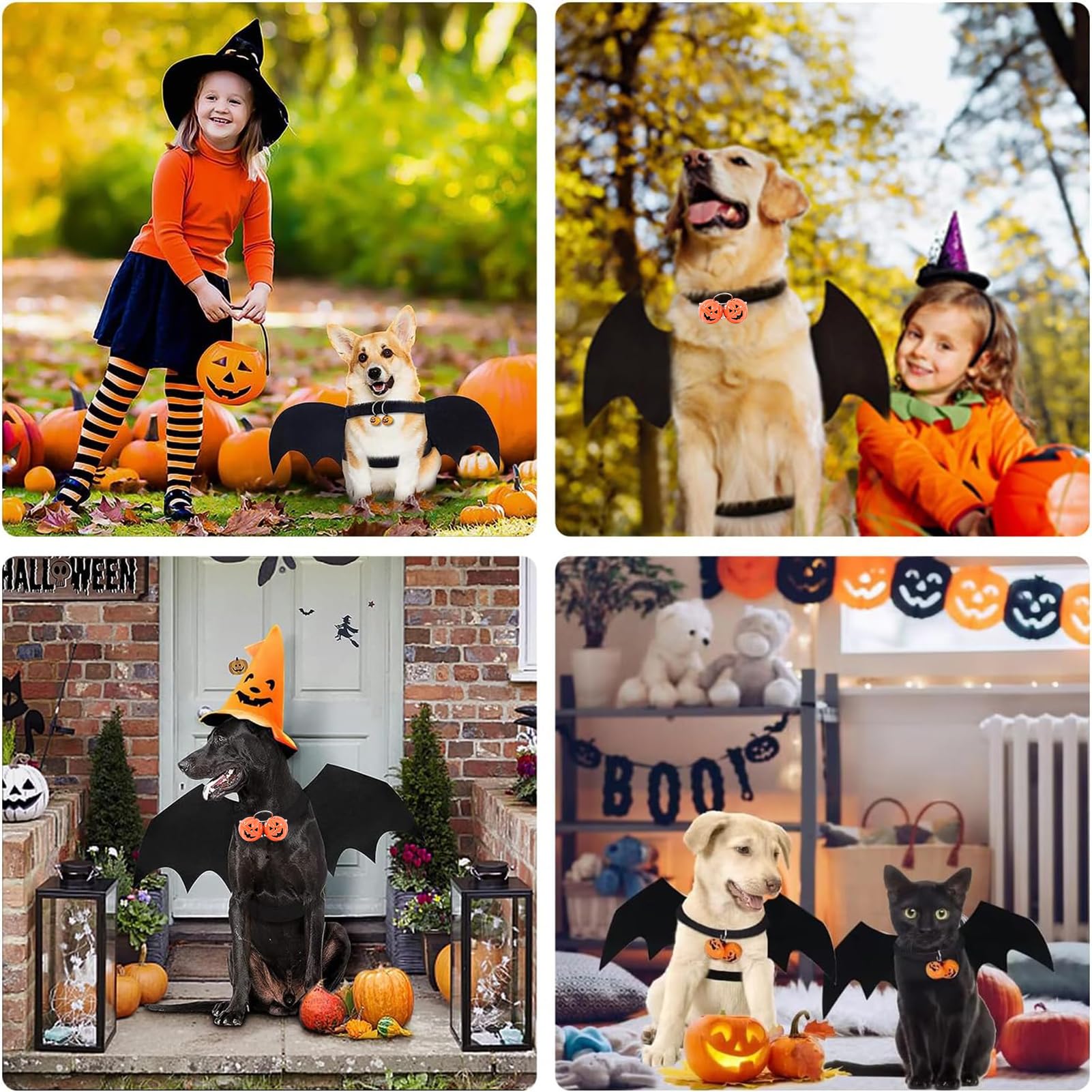 Costume Ali Di Pipistrello Per Cane Taglia Media - Per Halloween E Cosplay