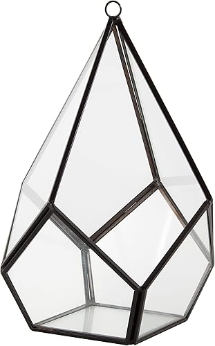 Miniatura 3 de D'Eco - Terrario geométrico de vidrio para plantas (5.7 x 5.7 x 7)  Mesa interior y maceta colgante con lágrimas  Suculentas, plantas de aire, musgo