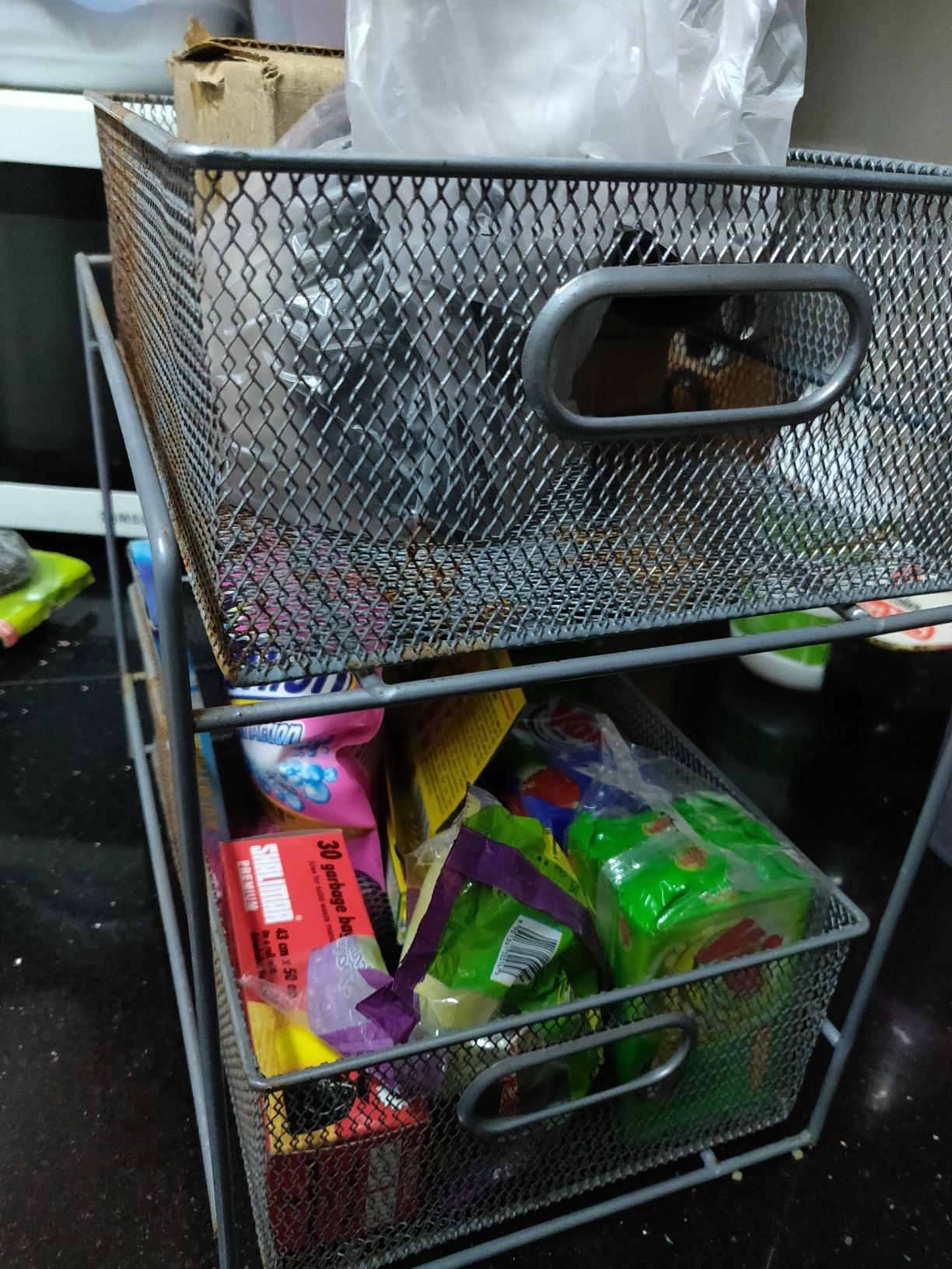 Callas 2 Tier Mesh Sliding Basket Organizer Drawer,Silver