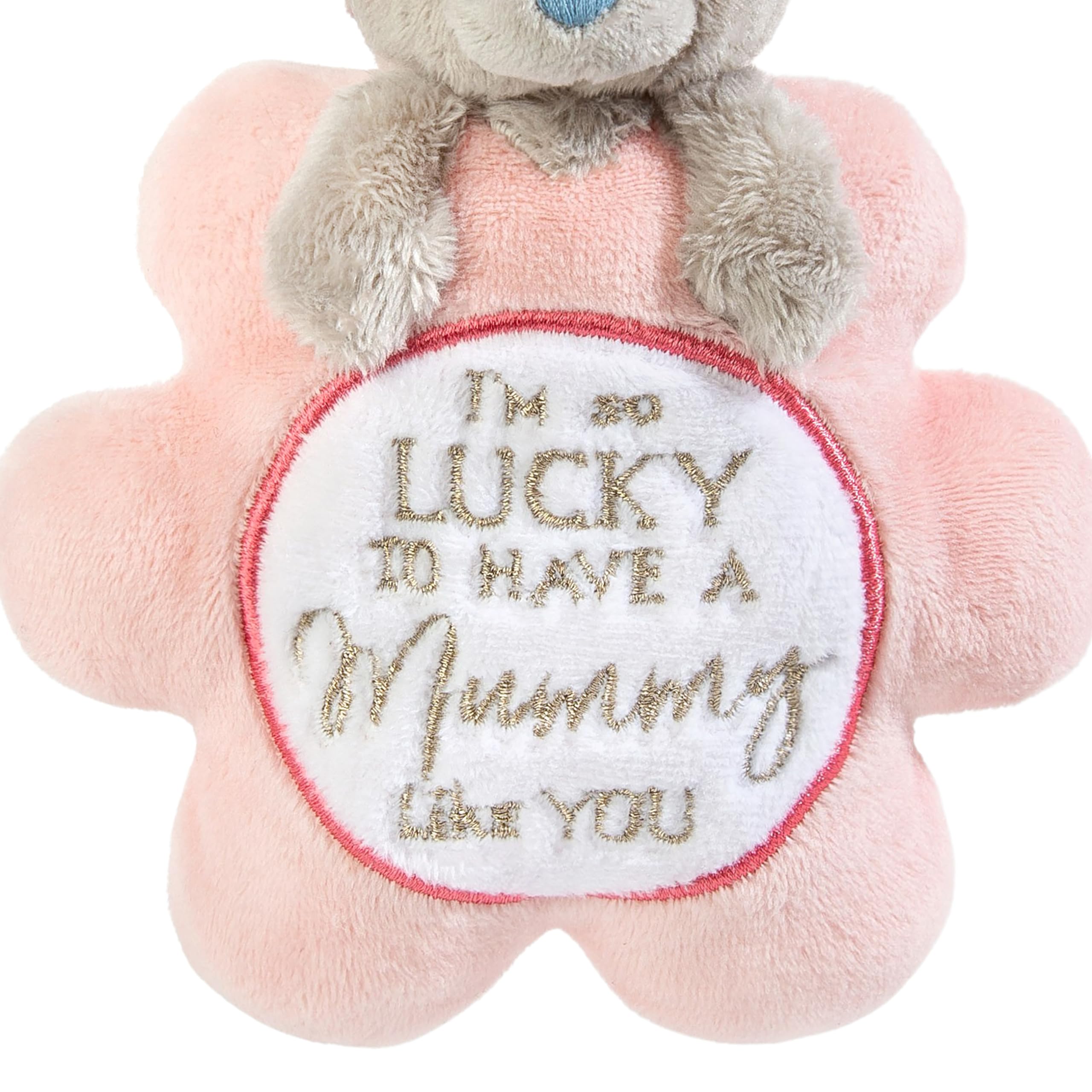 Me to You Tatty Teddy 18th Lightbox Effect Bear - Collezione Ufficiale