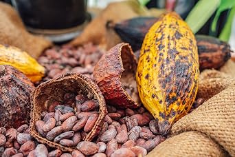 jovia premium quality chocolate ORGANIC CHOCOLATE - 100% BITTER PLAIN