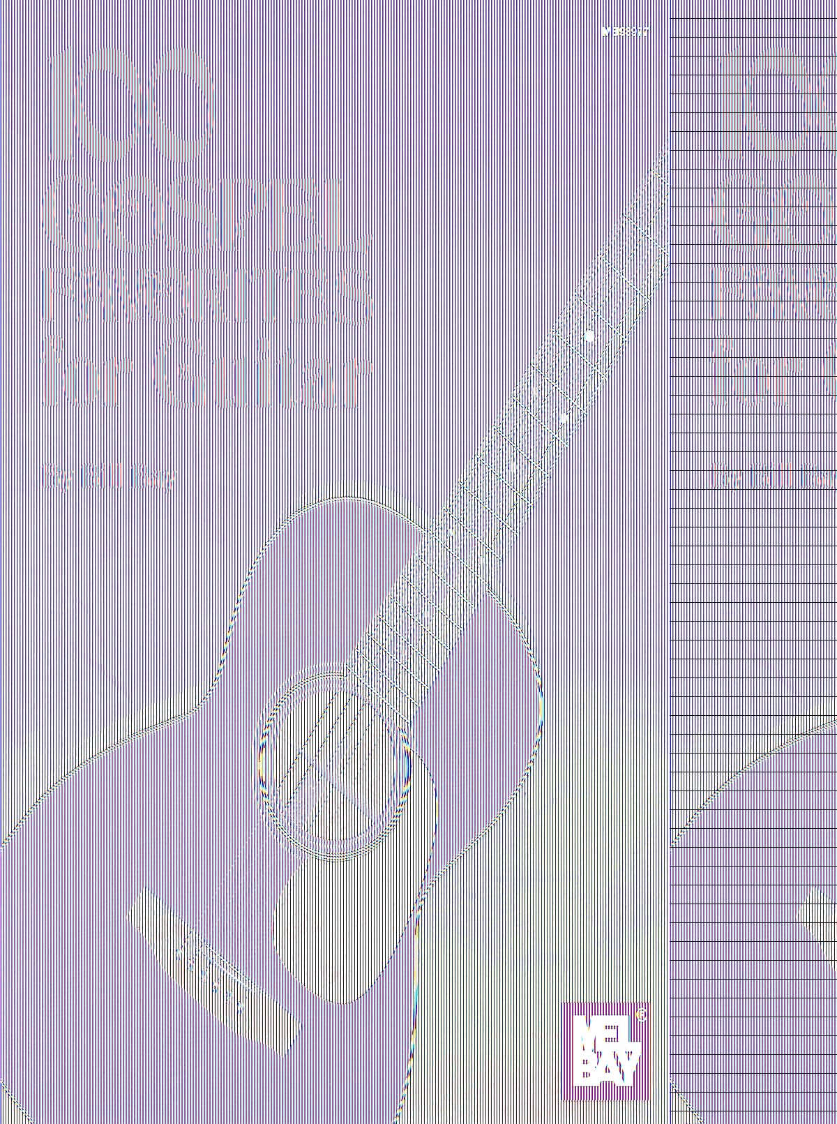 100 Gospel Favorites guitare jouez sans bloquer sur les accords grâce aux grilles claires