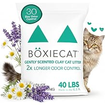 Boxiecat Gently Scented Premium Clumping Clay Cat Litter, 40-Pounds