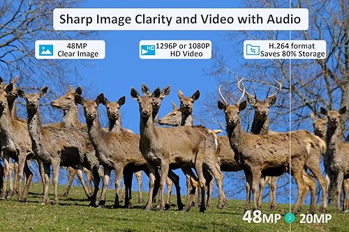 Miniatura 5 de Meidase Cámara P100 WiFi Trail (2022), 32mp 1296p, cámaras de juego con visión nocturna de 100 pies activada por movimiento, impermeable, compatible