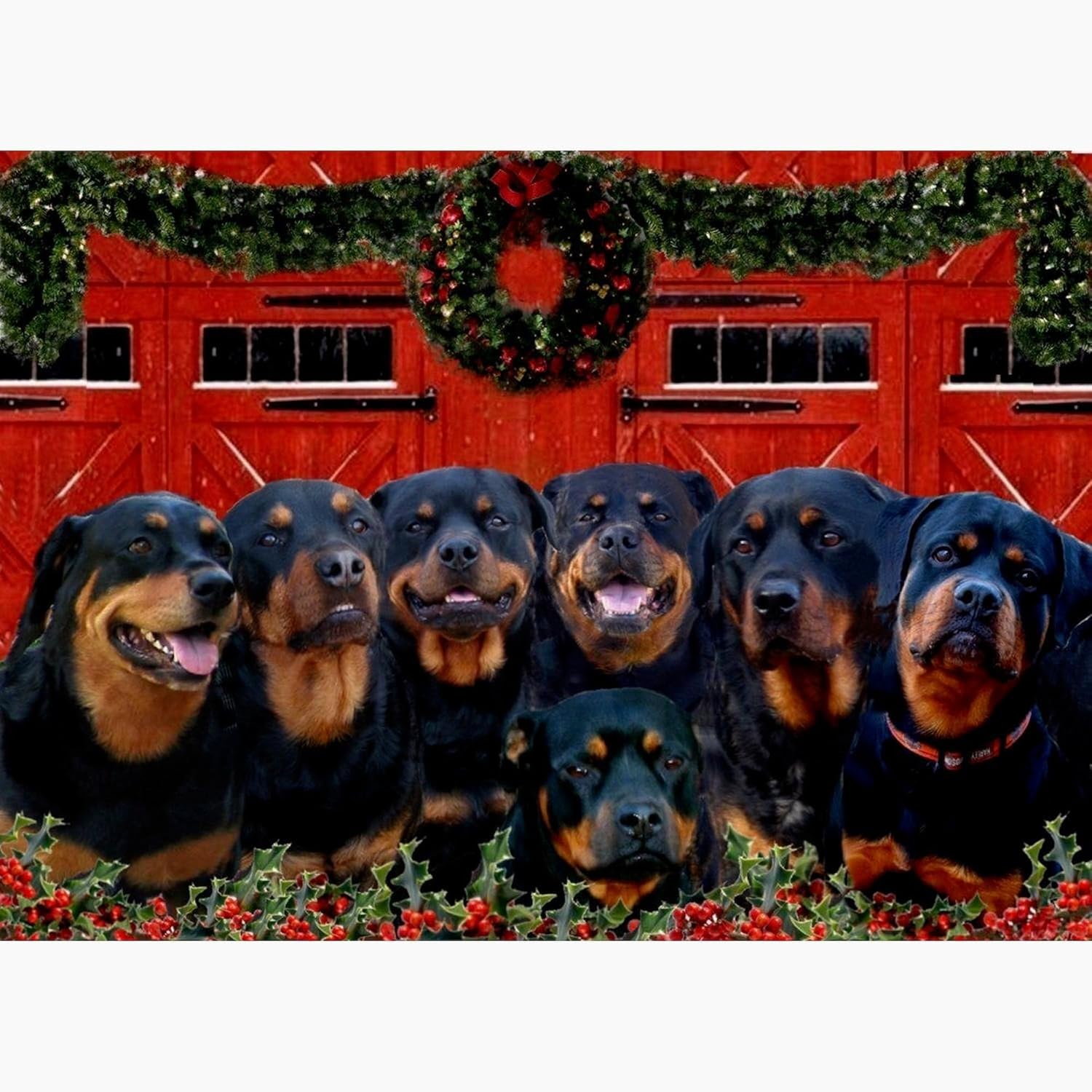 CafePress Merry Rottie Christmas Rottweilers (Pk Of 20) Greeting Card (20-pack), Note Card with Blank Inside, Birthday Card Matte
