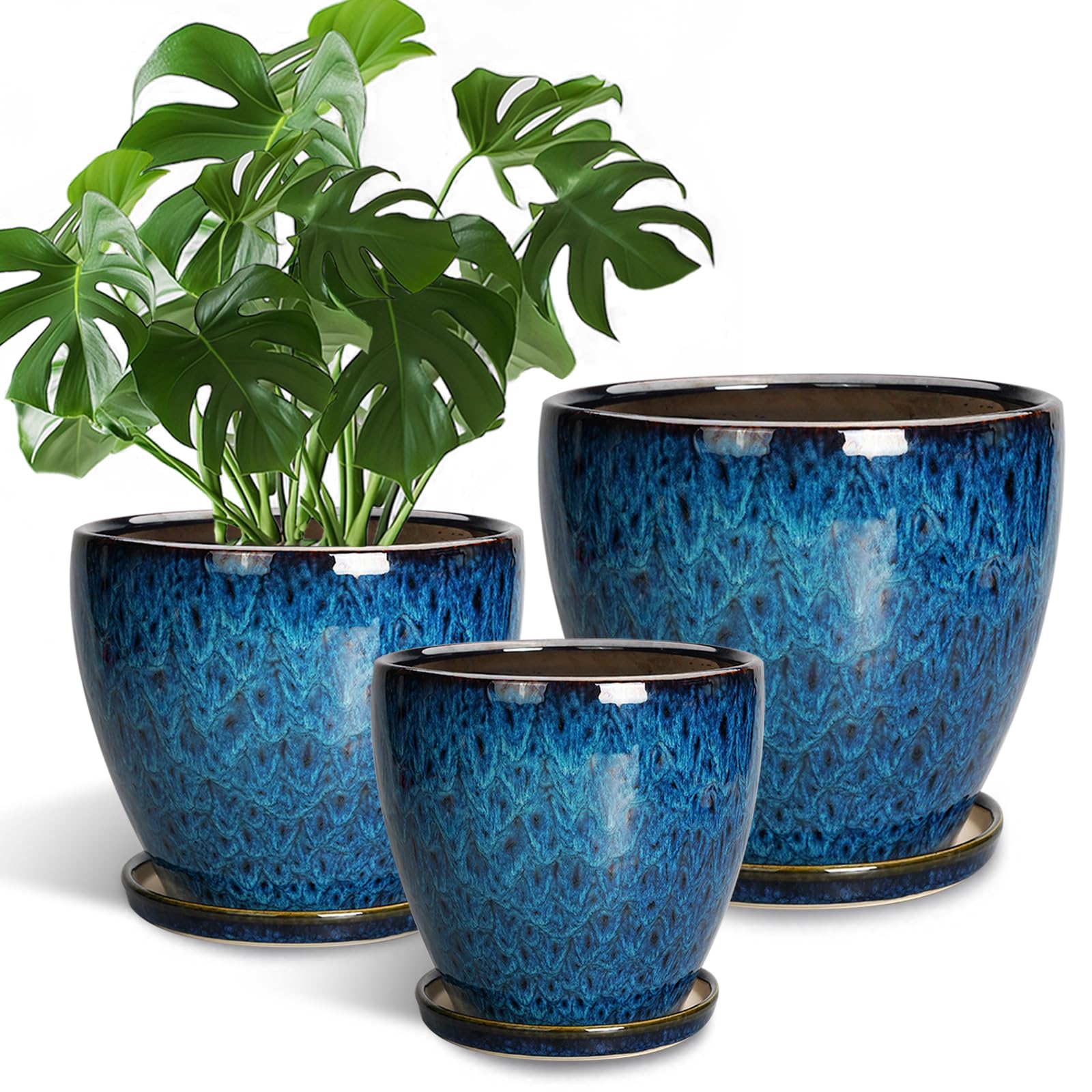 EPFamily Ceramic Planters