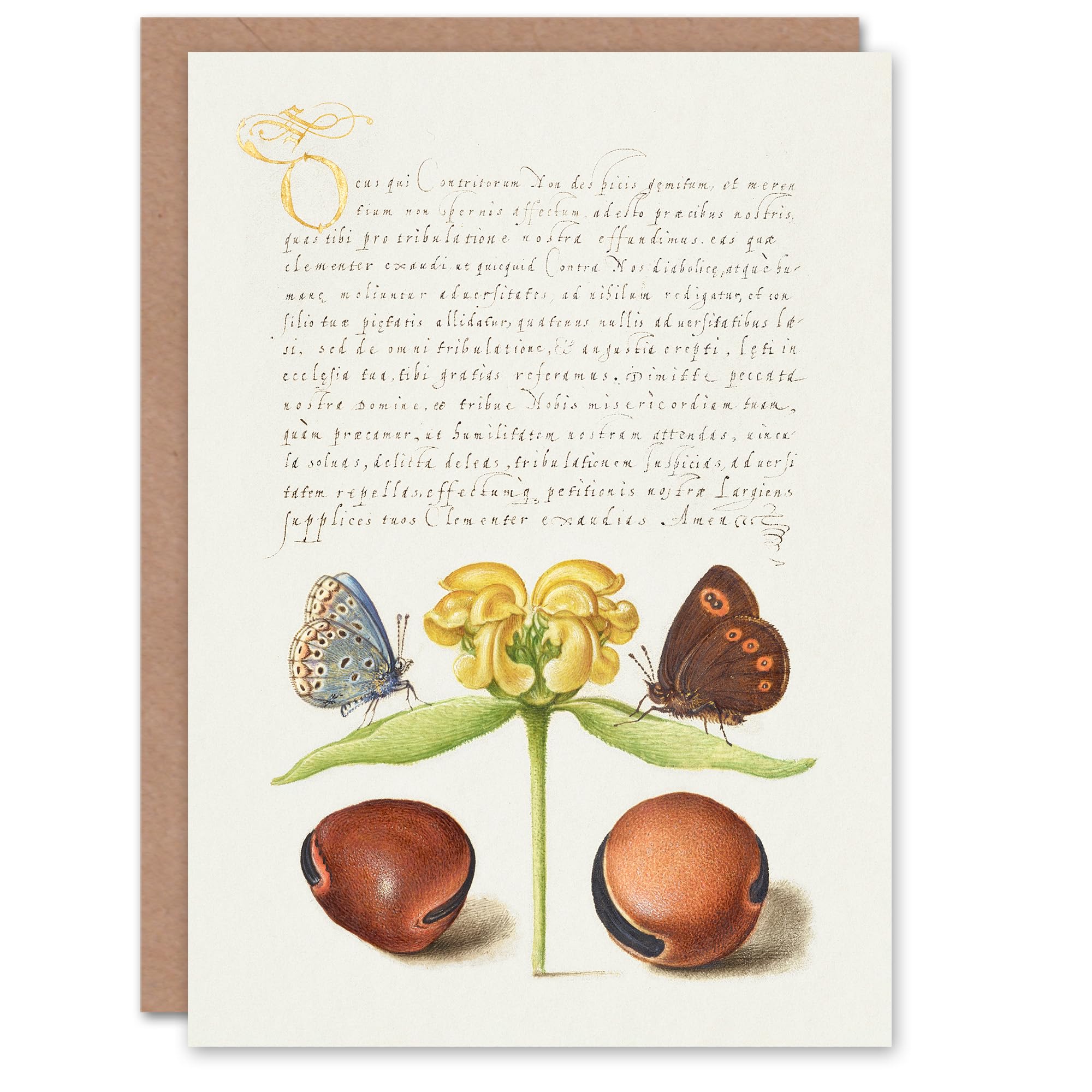Artery8 Art Card Moths Jerusalem Sage and Beans Model Book of Calligraphy