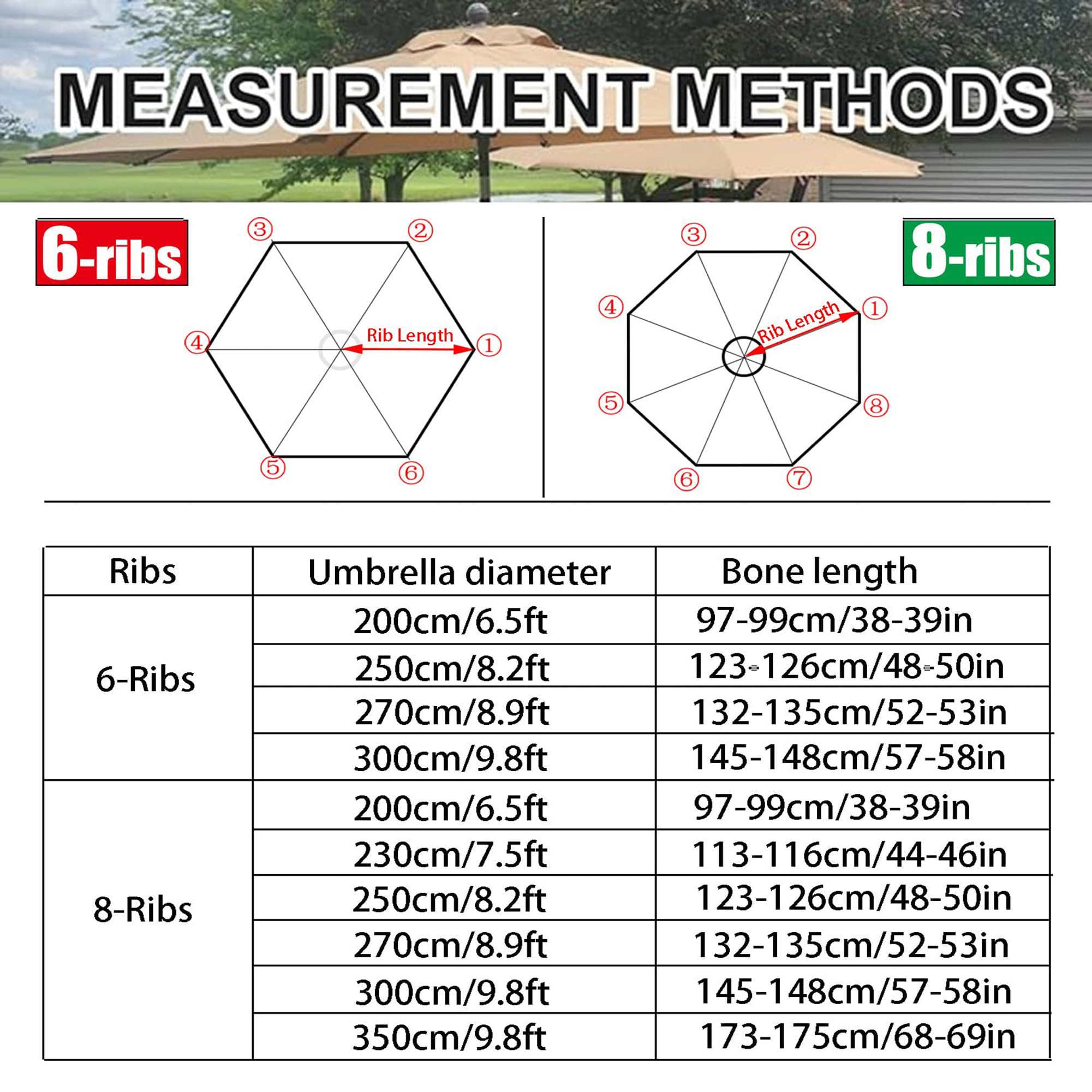 View 7