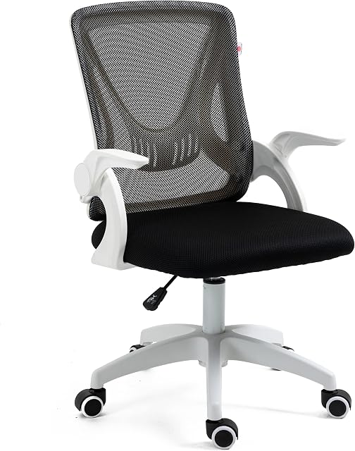 Blisswod Adjustable Office Chair, Ergonomic Desk Chair, Mesh Swivel Chair With 90° Flip-up Armrest Computer Chair With Lumbar Support Adjustable Height, Back Support 360° Rotation For Home Office