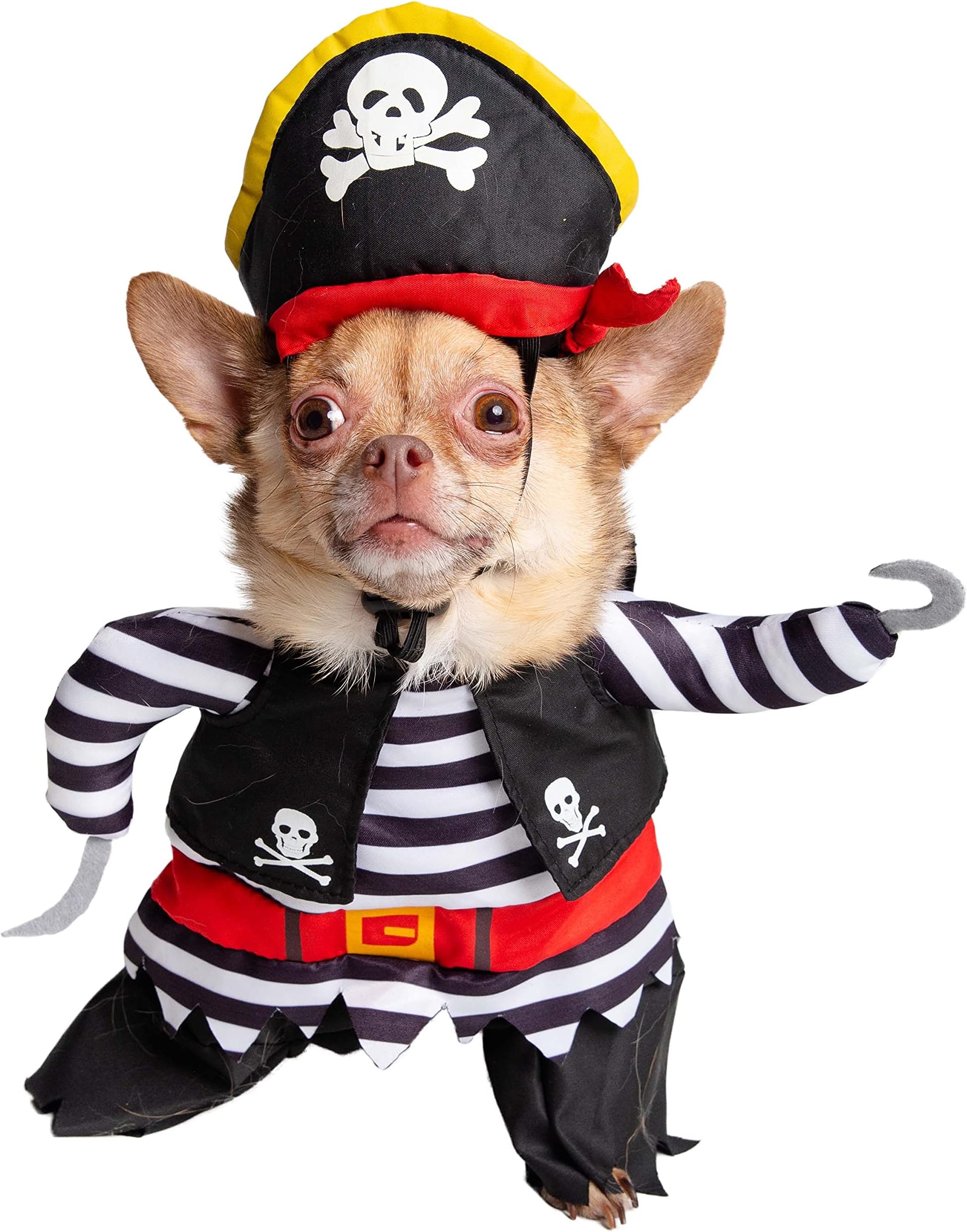 Pet Krewe Dog Pirate Costume | Pet Costume with Arms, Pirate Hat, Tunic and Cape -Perfect for Halloween, Parties, Photoshoots, Gifts for Dog Lovers Multi-Colored