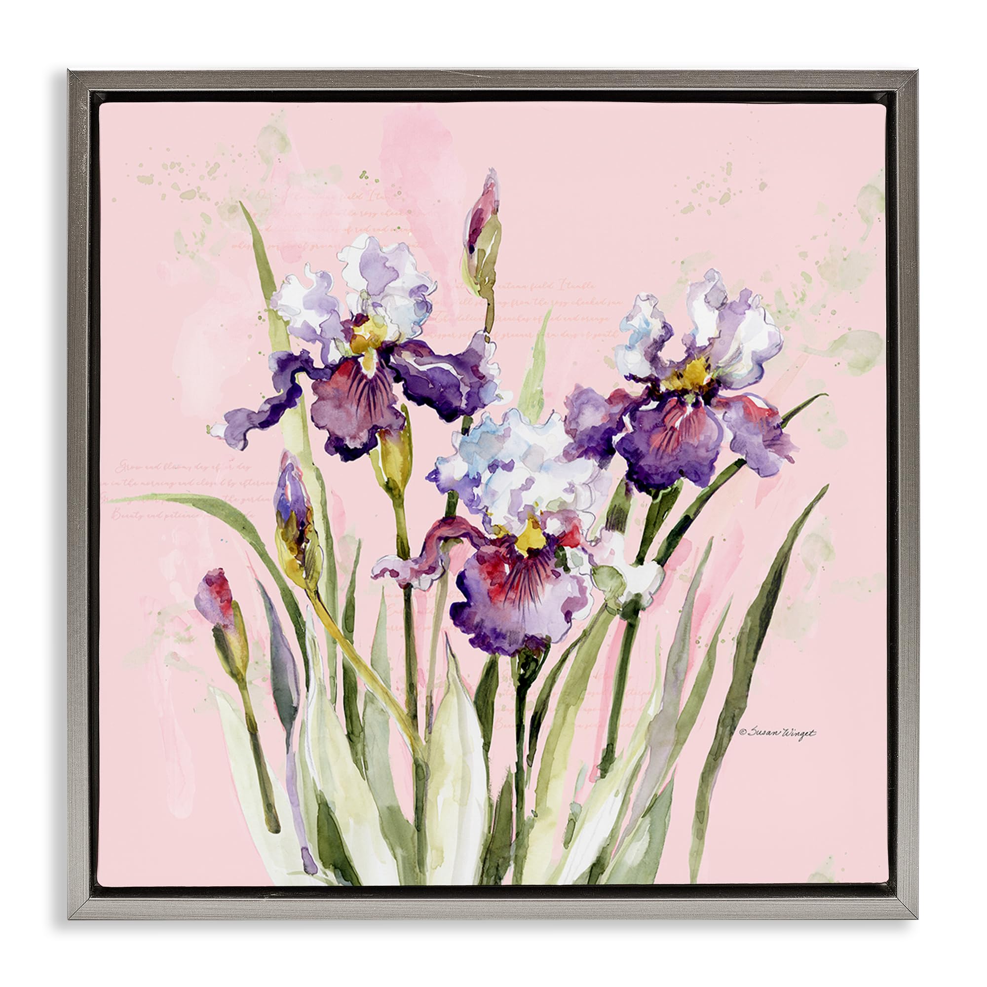 Stupell Industries Luster Gray (Matte) Purple Irises Botanical Floral, 17 X 17 Inch Canvas In Floater Frame