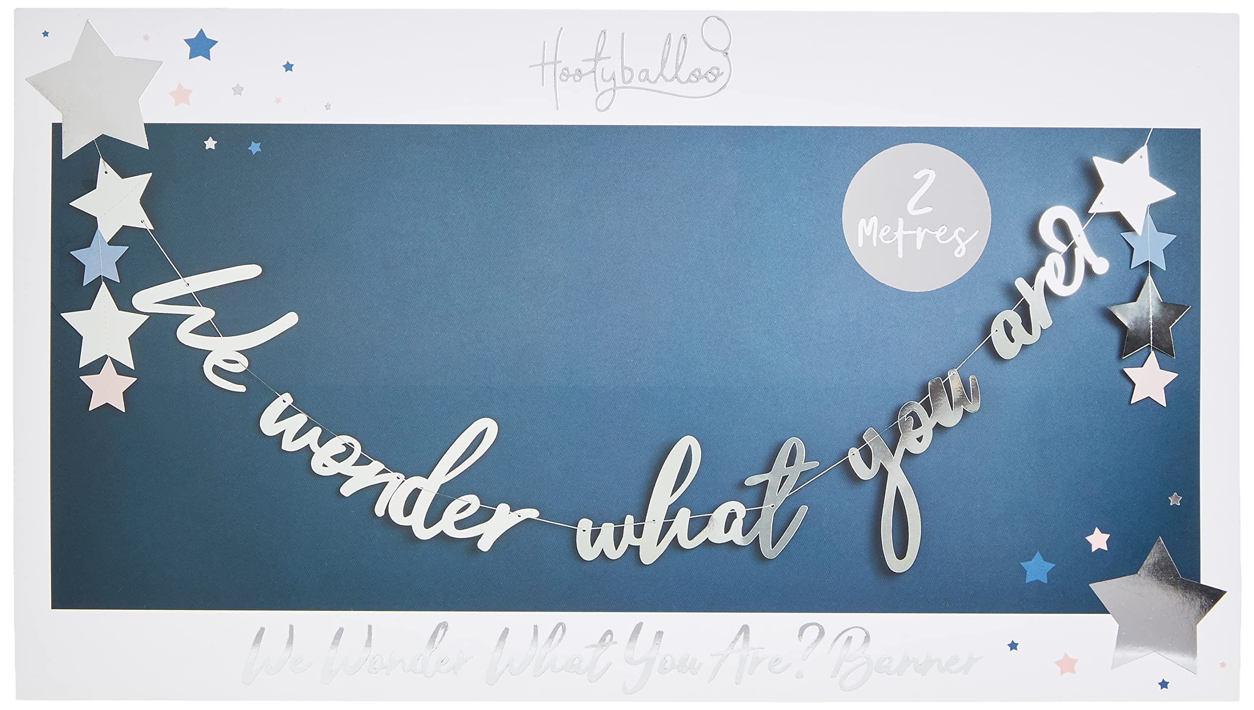 Silver ‘We Wonder What You Are?’ Card Banner, 2m Gender Reveal Party Decoration