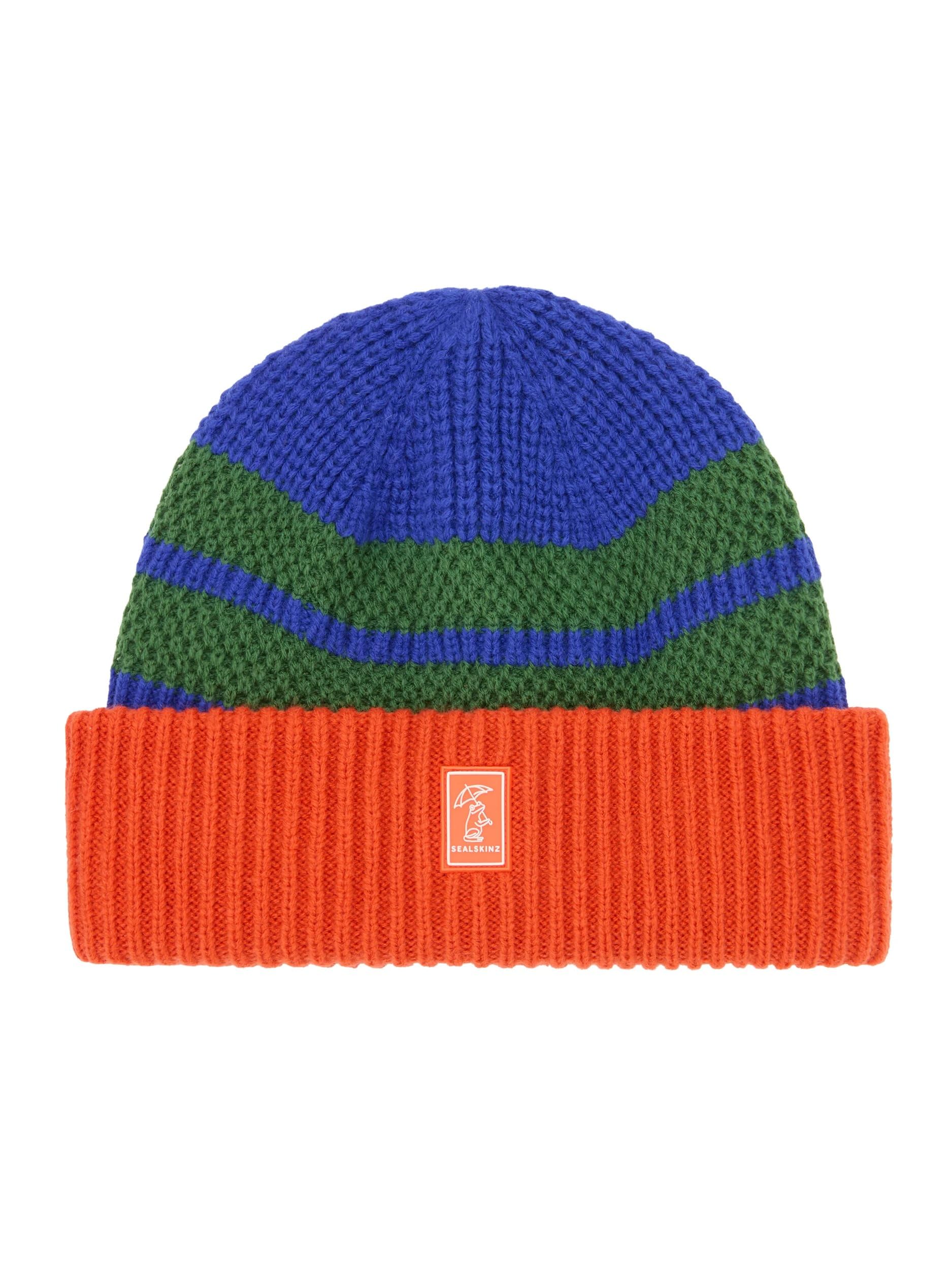 Sealskinz Blue | Apton | Kids | Waterproof Cold Weather Striped Roll Cuff Beanie
