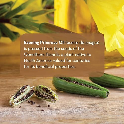 Miniatura 2 de Pure Body Naturals Aceite de onagra, líquido, no cápsulas, para cara, piel y cabello, 4 onzas líquidas