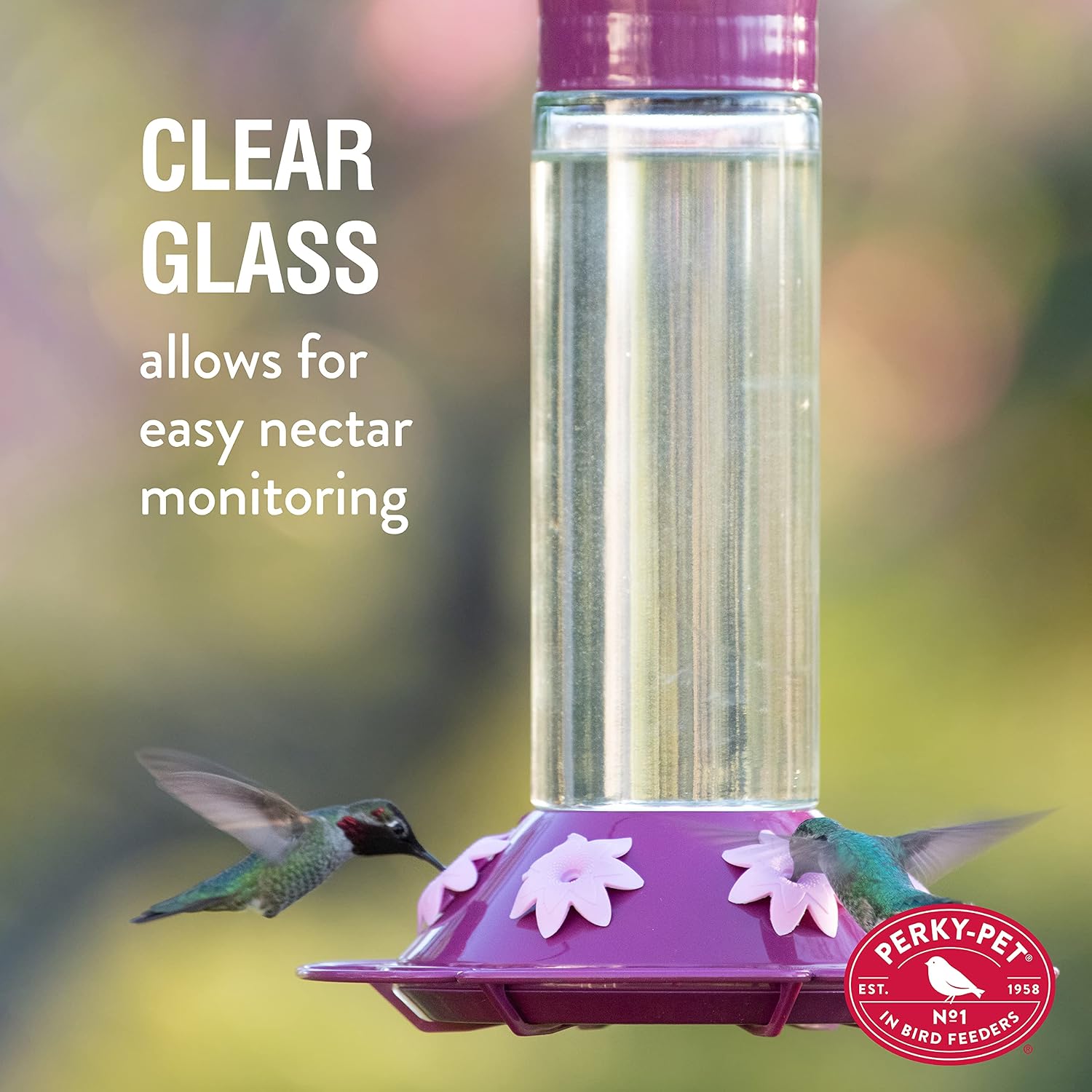 Perky-Pet 209BW Glass Hummingbird Feeders for Outdoors Hanging - 30 oz - Ant Moat & Bee Guarded, Our Best Royal Berry Hummingbird Feeder
