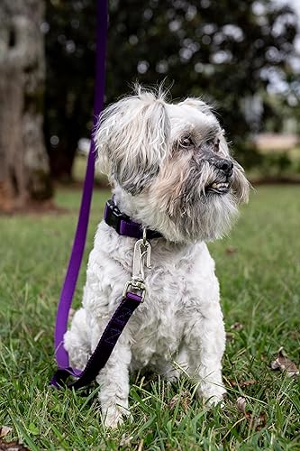 Miniatura 2 de Country Brook Design  Collar de nailon de lujo para perro con vibrante selección de 25 colores, Púrpura