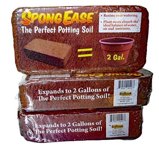 SPONGEASE Coco Coir Brick, Makes 2 gals Potting Soil for seedlings, Rooting, Vegetables, Berries, Roses, Orchids, House Plants, hydroponics, Worm Farms, Animal Bedding (3 Pack) - 3 Pack