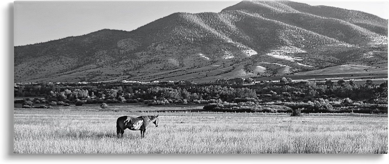 Stupell Industries Horse in Mountains Canvas Wall Art by Steve Toole