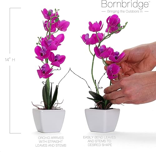 Miniatura 2 de Bornbridge Orquídea artificial, planta falsa con flores de tacto real, flores artificiales de tallo largo sintético, flores falsas en maceta