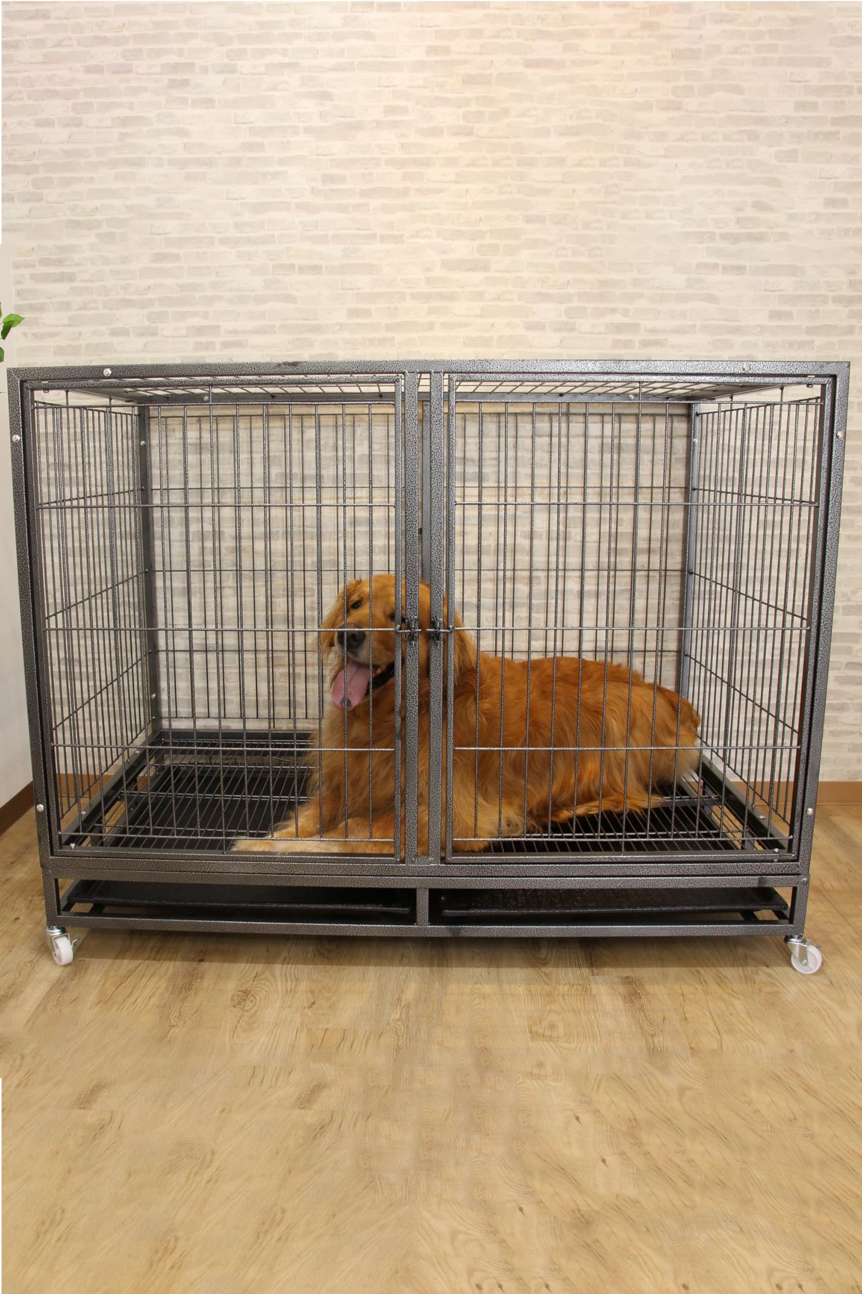 Amazon.co.jp: 大型犬 ゲージ ケージ 2段 屋根付き 【中型犬/頑丈