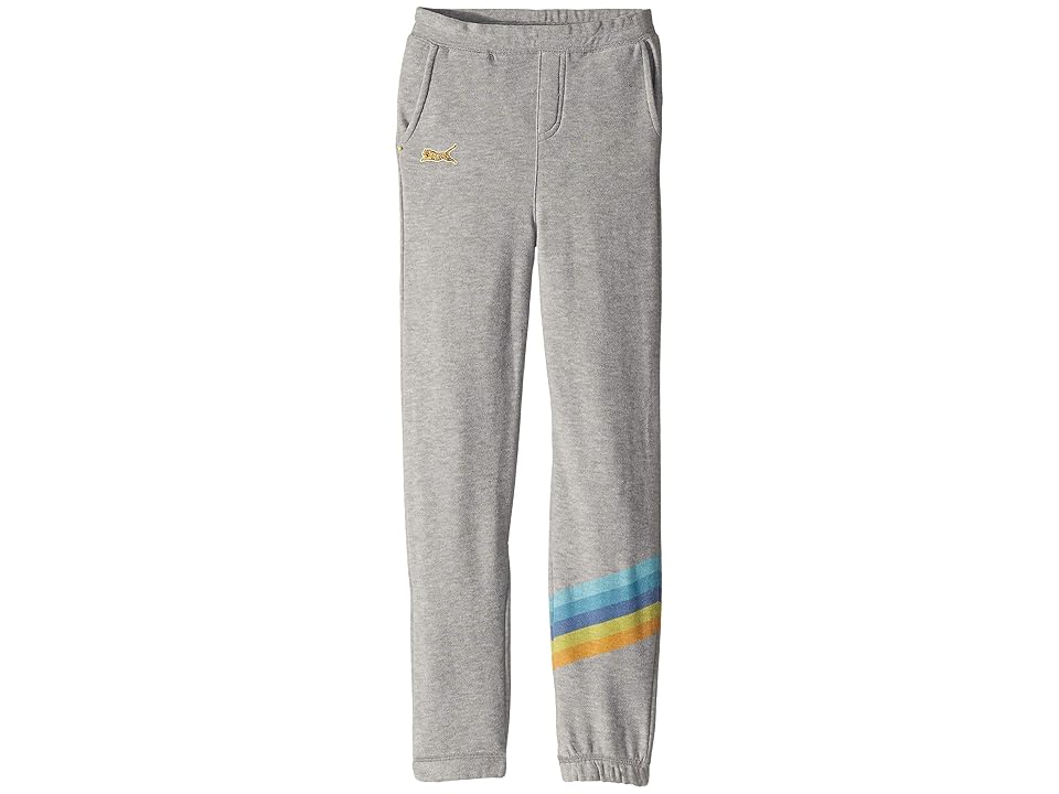 

Chaser Kids Extra Soft Cozy Knit Lounge Jogger w/ Front Pockets (Big Kids) (Heather Grey) Boy's Casual Pants, Gray