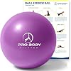 ProBody Pilates Mini Exercise Ball - 9 Inch Bender Ball For Stability, Barre, Pilates, Yoga, Core Training And Physical Therapy