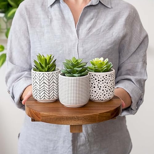 Miniatura 4 de Kurrajong Farmhouse Bundle Special - Round Wood Pedestal Stand with 3 Faux Succulents in Macetas