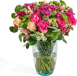 Bloom & Go Flowers Fresh Bouquet - Romeo & Julieth, Fresh Cut Farm Direct Flowers - 20 Stems in Plastic-Free Packing - Swift 3-Day Delivery - Stunning Array of Pink Roses, Snapdragon - No Vase