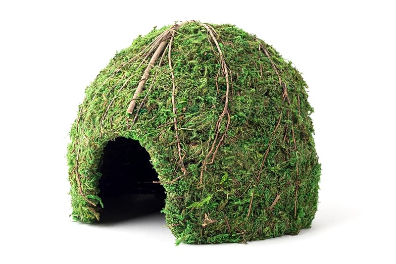 Esconderijo para Terrário de Canto com Acabamento de Musgo Galapagos Mossy Dome Hide, Vined Green Moss, 22,86 cm