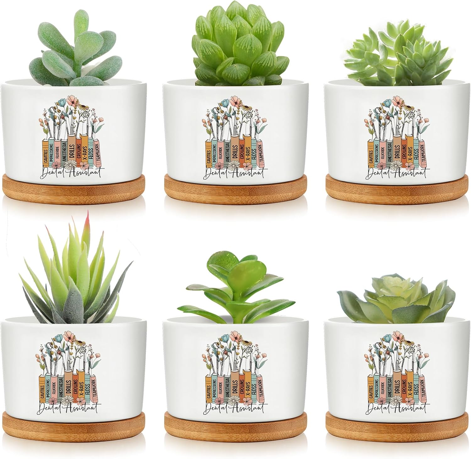 Havawish 6 Pcs Dental Assistant Gift Ceramic Succulent Planter Pots Mini Porcelain Plant Containers Funny Gifts for Dentist Dental Office Home Desk Tooth Decoration, Plants Excluded