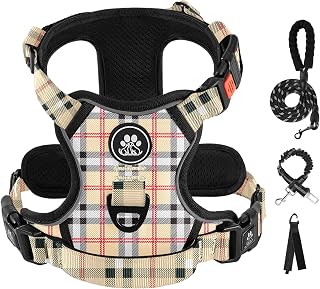 Ivy Lane Reflective Adjustable Checkered