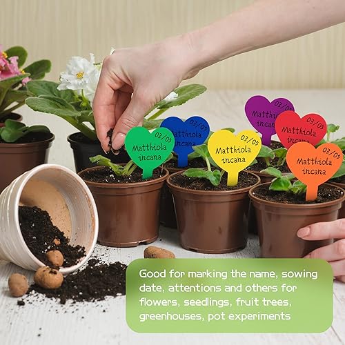 Miniatura 5 de 100 etiquetas de plástico para plantas, impermeables y resistentes al sol, 3.23 x 1.81 pulgadas, reutilizables para semillas en maceta, hierbas,